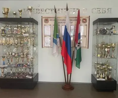 Наставничество как условие формирования профессиональных компетенций будущих педагогов начальной школы